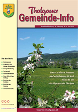 Gemeinde-Info 6-2013.jpg