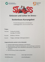 Plakat für Kurs Stress